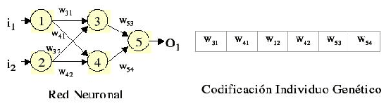 \includegraphics[width=\linewidth]{imagenes/ejemploRNA.eps}