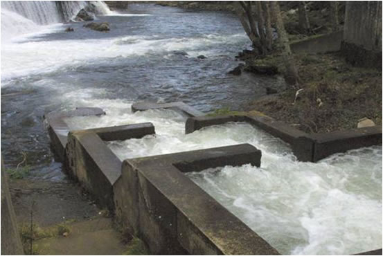 Escala de peces en el remonte de un río